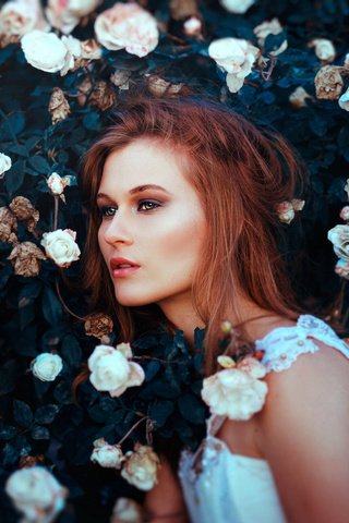 Обои девушка, розы, волосы, лицо, girl, roses, hair, face разрешение 2048x1365 Загрузить