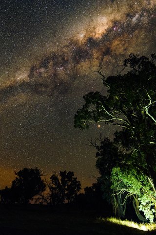 Обои ночь, деревья, природа, звезды, млечный путь, night, trees, nature, stars, the milky way разрешение 2048x1367 Загрузить