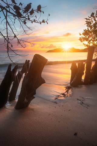 Обои природа, забор, берег, закат, пейзаж, море, утро, песок, пляж, nature, the fence, shore, sunset, landscape, sea, morning, sand, beach разрешение 3000x1924 Загрузить