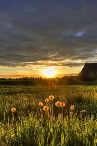 Обои закат, поле, лето, дом, sunset, field, summer, house разрешение 2560x1685 Загрузить