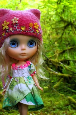 Обои лес, игрушка, кукла, волосы, шапка, шапочка, forest, toy, doll, hair, hat, cap разрешение 3500x2309 Загрузить