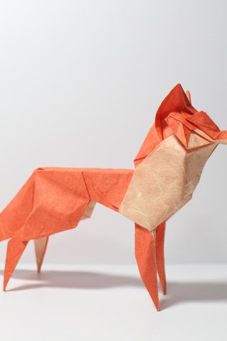 Обои бумага, лиса, оригами, paper, fox, origami разрешение 5184x3456 Загрузить