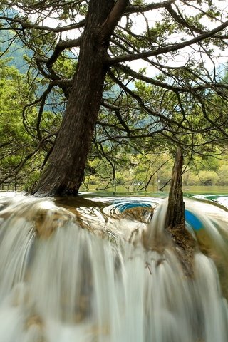 Обои деревья, река, лес, водопад, китай, jiuzhaigou national park, trees, river, forest, waterfall, china разрешение 2880x1920 Загрузить