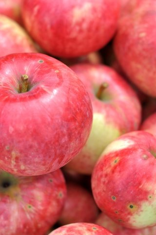 Обои макро, фрукты, яблоки, плоды, macro, fruit, apples разрешение 3000x1993 Загрузить