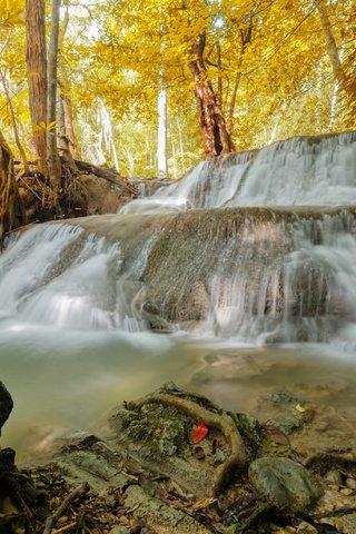 Обои деревья, природа, лес, водопад, осень, huaymaekamin, trees, nature, forest, waterfall, autumn разрешение 3100x2053 Загрузить