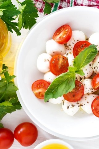 Обои помидоры, салат, петрушка, базилик, моцарелла, tomatoes, salad, parsley, basil, mozzarella разрешение 2048x1367 Загрузить