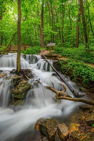 Обои трава, водопад, деревья, сша, камни, лавочка, зелень, parkville, missouri, лестница, парк, ручей, дорожка, grass, waterfall, trees, usa, stones, shop, greens, ladder, park, stream, track разрешение 2048x1152 Загрузить