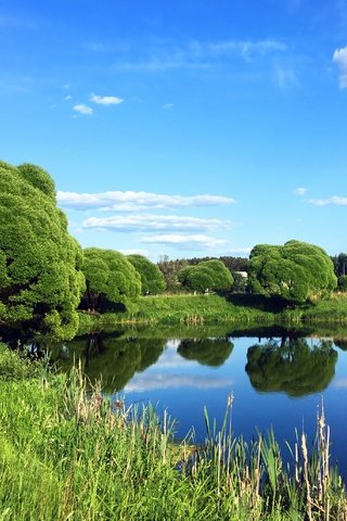 Обои небо, трава, деревья, озеро, природа, лето, the sky, grass, trees, lake, nature, summer разрешение 2880x2057 Загрузить