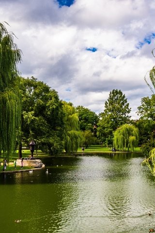 Обои деревья, зелень, парк, сша, пруд, бостон, массачусетс, trees, greens, park, usa, pond, boston, massachusetts разрешение 2880x1953 Загрузить