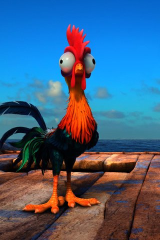 Обои дисней, моана, heihei, хей-хей, disney, moana, hey-hey разрешение 3840x1608 Загрузить