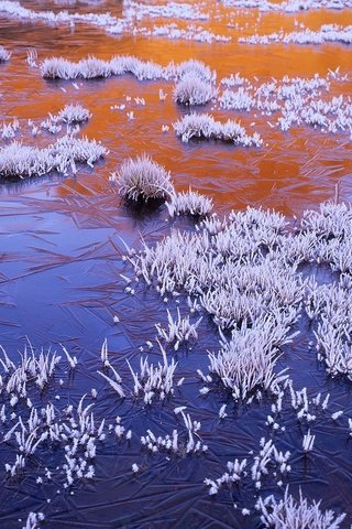 Обои природа, jerusalem national park, болото, мороз, иней, лёд, австралия, заморозки, bing, тасмания, nature, swamp, frost, ice, australia, freezing, tasmania разрешение 1920x1200 Загрузить