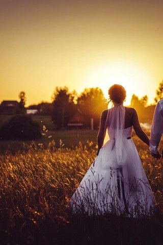 Обои закат, поле, жених, свадьба, невеста, sunset, field, the groom, wedding, the bride разрешение 2880x1920 Загрузить