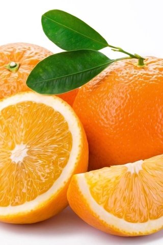 Обои макро, фрукты, апельсины, белый фон, цитрусы, macro, fruit, oranges, white background, citrus разрешение 2560x1920 Загрузить
