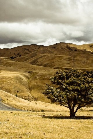 Обои небо, дорога, холмы, дерево, пейзаж, осень, the sky, road, hills, tree, landscape, autumn разрешение 2880x1800 Загрузить