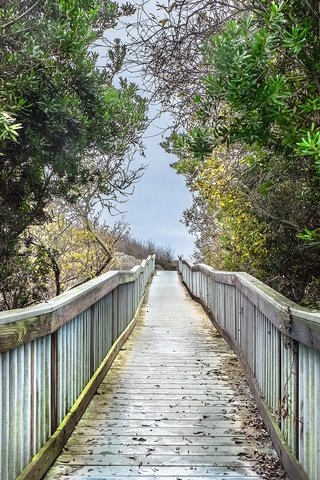 Обои деревья, мост, облачно, boardwalk, marshy ground, trees, bridge, cloudy разрешение 2048x1365 Загрузить