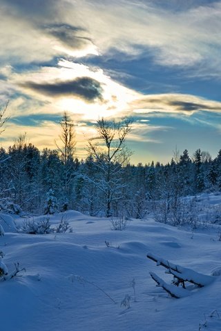 Обои хедмарк, деревья, снег, лес, зима, ель, сугробы, норвегия, норвегии, hedmark fylke, hedmark, trees, snow, forest, winter, spruce, the snow, norway разрешение 4608x2592 Загрузить