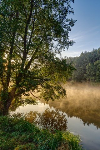 Обои трава, шорндорф, деревья, река, ручей, осень, германия, бавария, верхний пфальц, grass, schorndorf, trees, river, stream, autumn, germany, bayern, upper palatinate разрешение 2048x1536 Загрузить