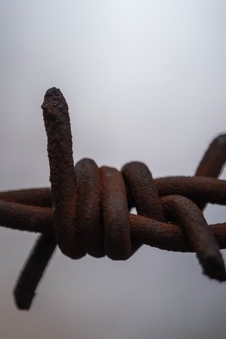 Обои макро, фон, проволока, забор, колючая проволока, macro, background, wire, the fence, barbed wire разрешение 2047x1285 Загрузить