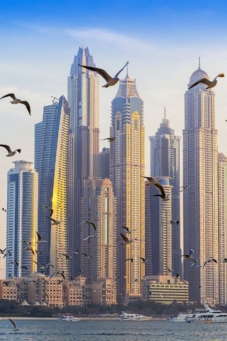 Обои дома, чайки, дубаи, дубай, оаэ, palm jumeirah, home, seagulls, dubai, uae разрешение 2500x1875 Загрузить