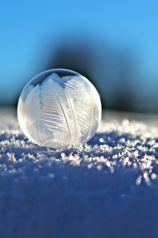 Обои снег, мыльный пузырь, eiskristalle, зима, семка, макро, зимой, шар, семки, макросъемка, пузырь, мыльный, мыло, snow, winter, syomka, macro, in the winter, ball, semyon, bubble, soap разрешение 5184x3456 Загрузить