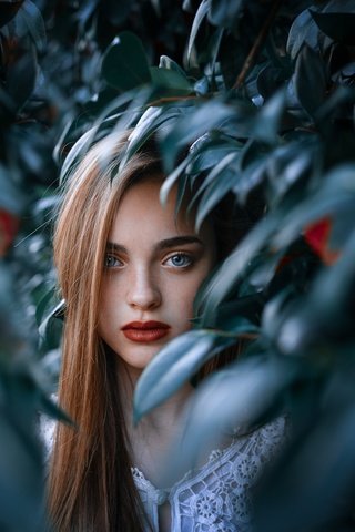 Обои листья, девушка, взгляд, модель, волосы, голубые глаза, красная помада, leaves, girl, look, model, hair, blue eyes, red lipstick разрешение 2048x1507 Загрузить