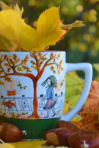 Обои листья, яблоки, осень, чашка, осен, каштаны,  листья, leaves, apples, autumn, cup, chestnuts разрешение 3002x1912 Загрузить