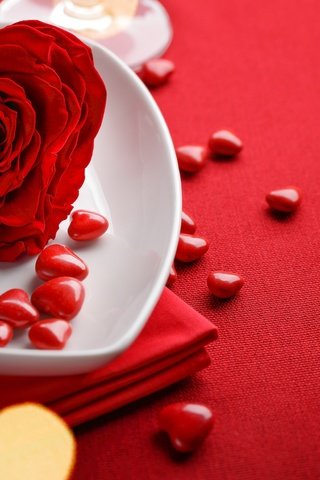 Обои фон, валентинов день, роза, сердечки, романтик, краcный, день святого валентина, боке, влюбленная, background, rose, hearts, romantic, red, valentine's day, bokeh, love разрешение 6500x3656 Загрузить