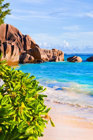 Обои море, песок, пляж, отдых, тропики, сейшелы, sea, sand, beach, stay, tropics, seychelles разрешение 6350x3572 Загрузить