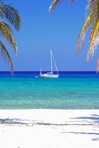 Обои море, пляж, яхта, отдых, тропики, sea, beach, yacht, stay, tropics разрешение 4046x2276 Загрузить