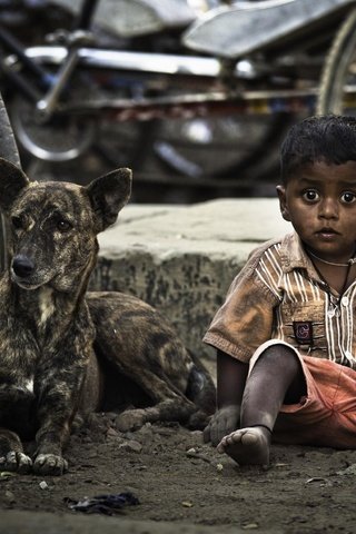 Обои собака, дети, ребенок, мальчик, велосипед, dog, children, child, boy, bike разрешение 2500x1561 Загрузить