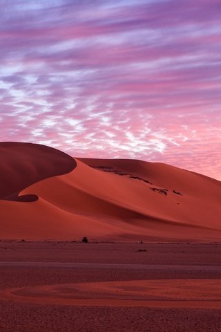 Обои небо, облака, вечер, природа, утро, песок, пустыня, дюны, the sky, clouds, the evening, nature, morning, sand, desert, dunes разрешение 1920x1280 Загрузить