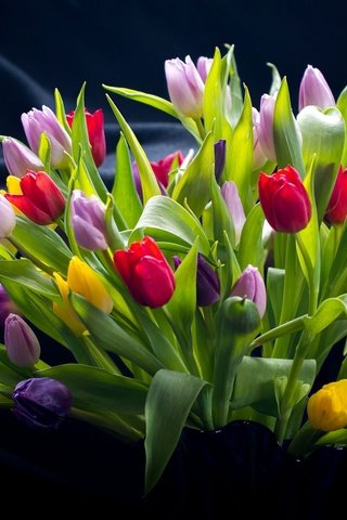 Обои цветы, листья, фон, разноцветные, букет, тюльпаны, flowers, leaves, background, colorful, bouquet, tulips разрешение 2048x1424 Загрузить
