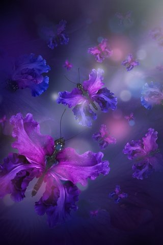 Обои вода, лепестки, бабочки, butterflies, флористика, лиловая, water, petals, butterfly, floral, purple разрешение 3726x3666 Загрузить