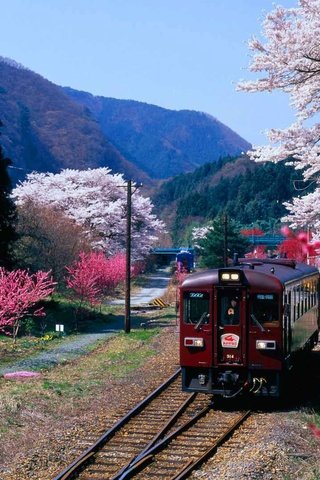 Обои горы, цветение, япония, весна, поезд, префектура гумма, mountains, flowering, japan, spring, train, gunma prefecture разрешение 1920x1080 Загрузить