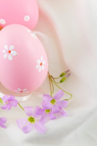 Обои цветы, пасха, яйца крашеные, flowers, easter, the painted eggs разрешение 6016x4000 Загрузить