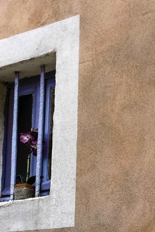 Обои цветок, стена, дом, окно, орхидея, горшок, подоконник, flower, wall, house, window, orchid, pot, sill разрешение 5992x3680 Загрузить