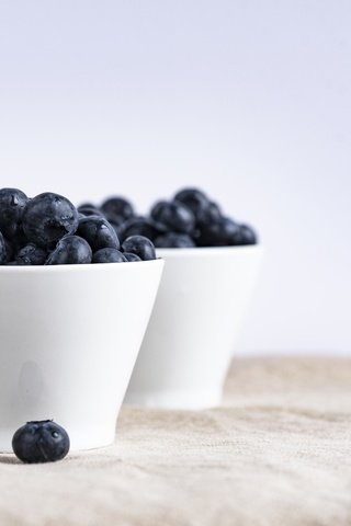 Обои ягоды, много, черника, berries, a lot, blueberries разрешение 6016x4016 Загрузить