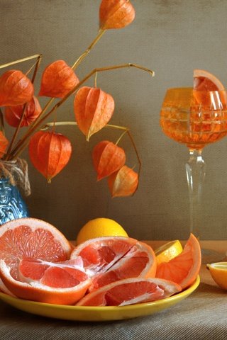 Обои фрукты, бокал, лимон, апельсин, физалис, цитрусы, fruit, glass, lemon, orange, physalis, citrus разрешение 2400x1562 Загрузить