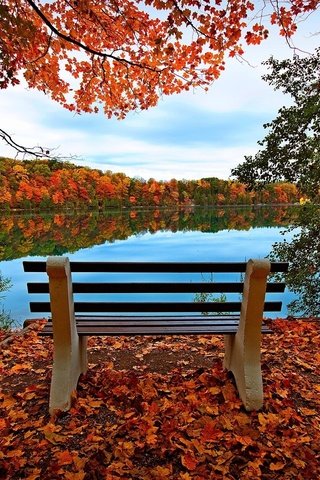 Обои небо, деревья, озеро, природа, лес, листья, осень, скамейка, the sky, trees, lake, nature, forest, leaves, autumn, bench разрешение 2048x1351 Загрузить