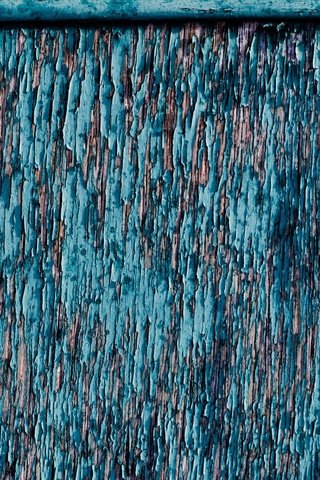 Обои дерево, цвет, стена, краска, деревянная поверхность, tree, color, wall, paint, wooden surface разрешение 2047x1158 Загрузить