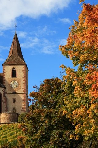 Обои деревья, осень, церковь, франция, hunawihr, church saint-jacques-le-majeur, церковь сен-жак-ле-мажёр, юнавир, trees, autumn, church, france, church of saint-jacques-le-mazher, the hunawihr разрешение 2500x1581 Загрузить