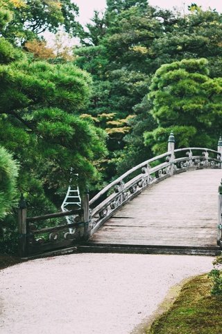 Обои деревья, природа, парк, мост, сад, trees, nature, park, bridge, garden разрешение 2048x1152 Загрузить