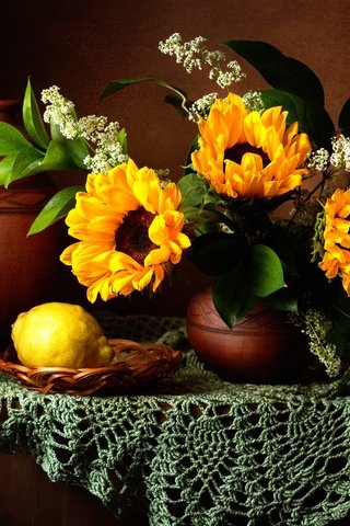 Обои цветы, фрукты, лимон, букет, подсолнухи, салфетка, натюрморт, flowers, fruit, lemon, bouquet, sunflowers, napkin, still life разрешение 2500x1942 Загрузить