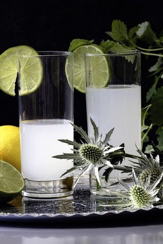 Обои напиток, лимон, лайм, коктейль, стаканы, цитрусы, лимонад, drink, lemon, lime, cocktail, glasses, citrus, lemonade разрешение 2048x1365 Загрузить