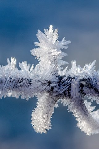 Обои природа, зима, мороз, проволока, иней, колючая проволока, провод, кристаллы, nature, winter, frost, wire, barbed wire, crystals разрешение 5184x3456 Загрузить