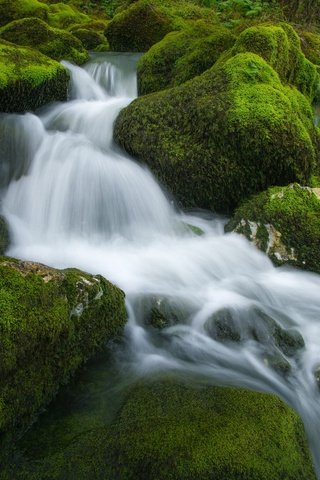 Обои вода, камни, поток, мох, water, stones, stream, moss разрешение 2048x1365 Загрузить