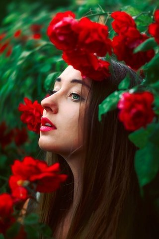 Обои цветы, лицо, природа, девушка, розы, модель, профиль, волосы, губы, flowers, face, nature, girl, roses, model, profile, hair, lips разрешение 2048x1365 Загрузить