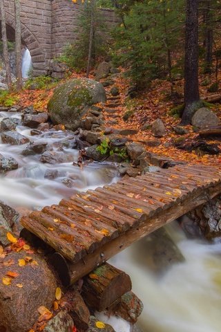 Обои деревья, река, листья, мост, осень, арка, trees, river, leaves, bridge, autumn, arch разрешение 2048x1574 Загрузить