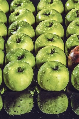 Обои отражение, капли, еда, фрукты, яблоки, reflection, drops, food, fruit, apples разрешение 2560x1710 Загрузить