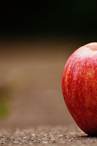 Обои фрукты, яблоко, красное, fruit, apple, red разрешение 2560x1440 Загрузить